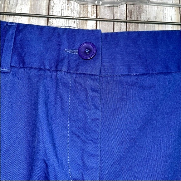 Loft Blue Shorts - Picture 4 of 6